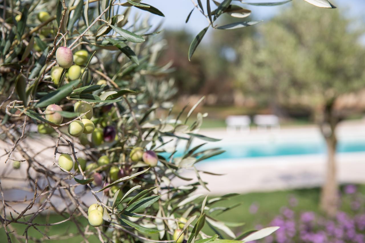 Masseria Saietti Ruffano Exteriör bild